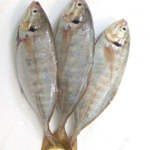 Ikan Selar (Kg)