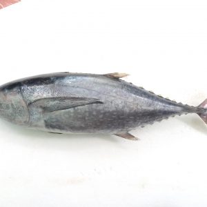 Tuna (Kg)