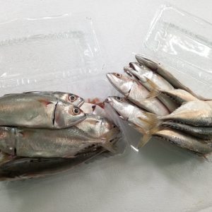 Ikan Kembung (Kg)