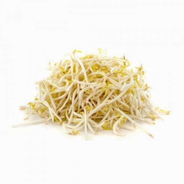 WhatsApp Image 2022-05-03 at 6.32.03 PM