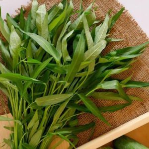 Kangkung (Ikat)
