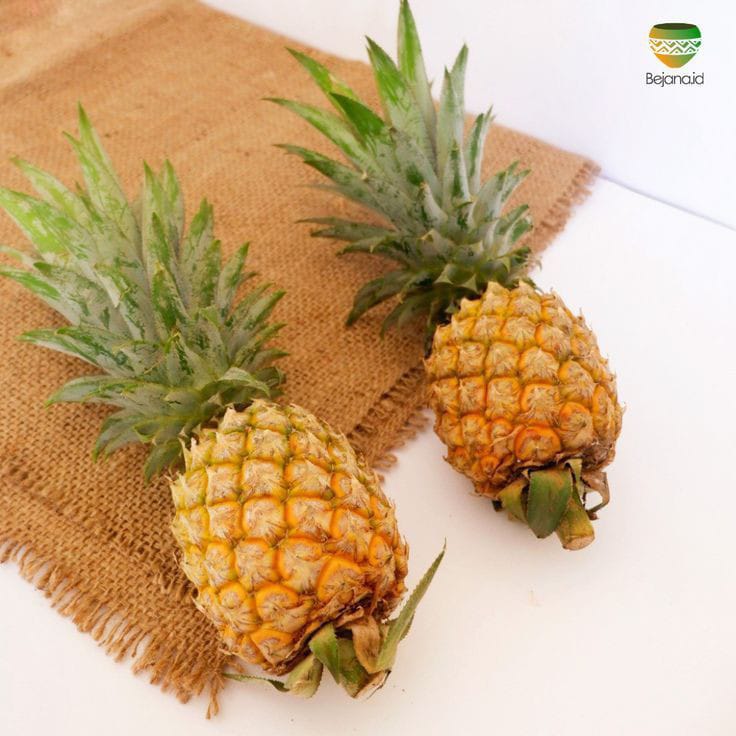 WhatsApp Image 2022-05-03 at 7.29.14 PM