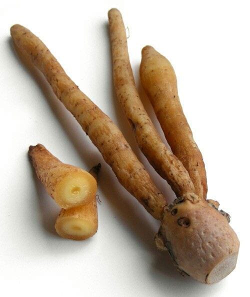 WhatsApp Image 2022-05-03 at 8.19.06 PM