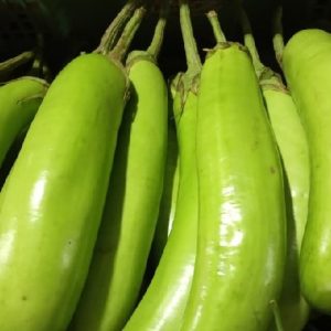 Terong Hijau (250gr)