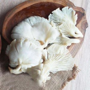 Jamur Tiram (Pack)
