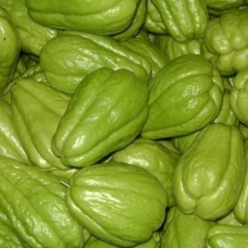 WhatsApp Image 2022-05-03 at 8.26.20 PM