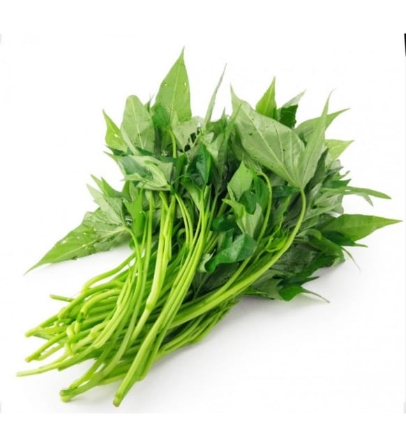 WhatsApp Image 2022-05-03 at 8.27.16 PM