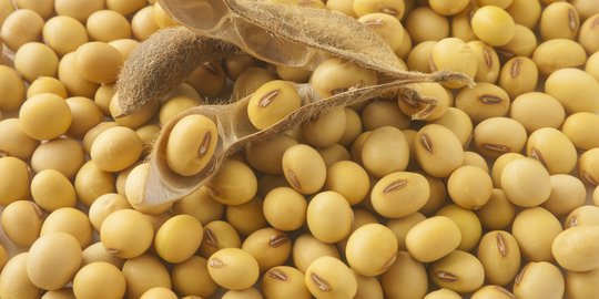 WhatsApp Image 2022-05-09 at 2.30.47 PM