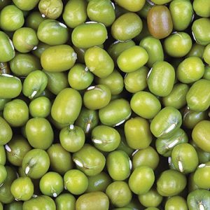 Kacang Hijau (250gr)