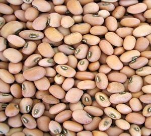 Kacang Beras (250gr)