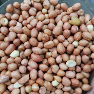 Kacang Tanah (250gr)