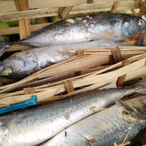 Pindang Tongkol (Besek)