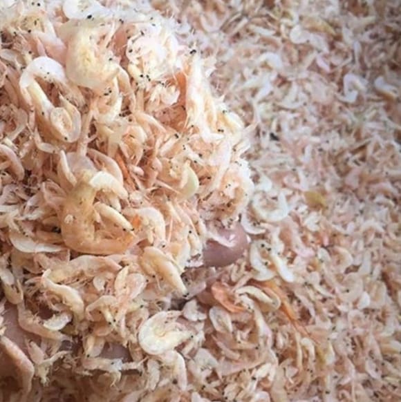 WhatsApp Image 2022-05-12 at 12.15.03 AM