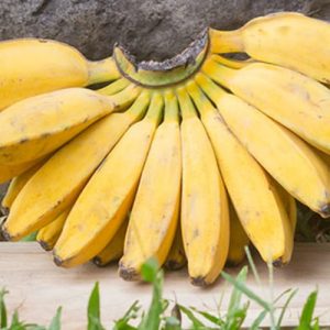 Pisang Kepok (Sisir)