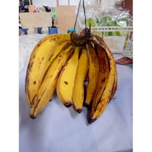 Pisang Candi (Sisir)