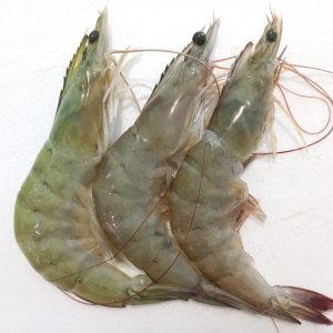 Udang Vaname Size 30 (500gr)