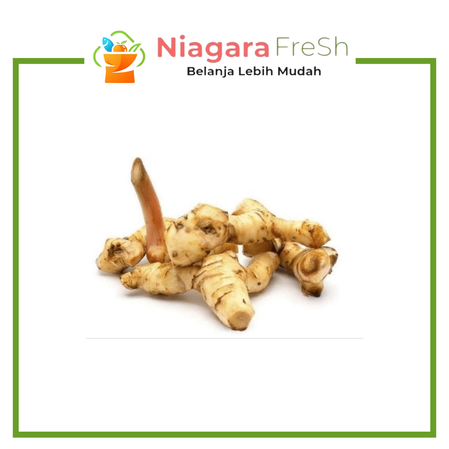 Laos Kupas (Lengkuas kupas) 1Kg