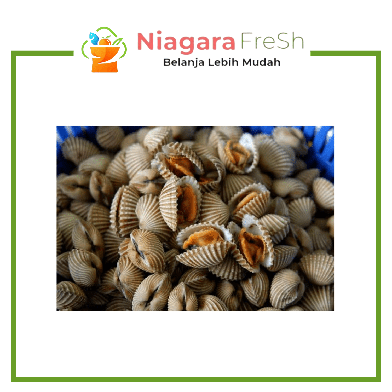 Kerang Dara Kulit 1Kg